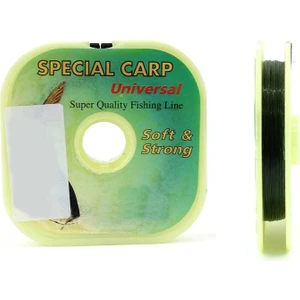 Carp 0,25MM 100M Misina