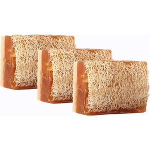  Doğal Kabak Lifli Bal ve Eşek Sütlü Sabun 100 gr x 3 Adet