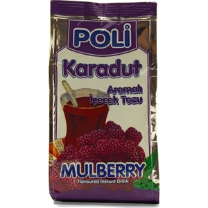 Karadut Aromalı Içecek Tozu 300 gr