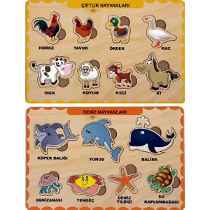 Ahşap Bul Tak Eğitici 2 Adet Yapboz Puzzle Seti