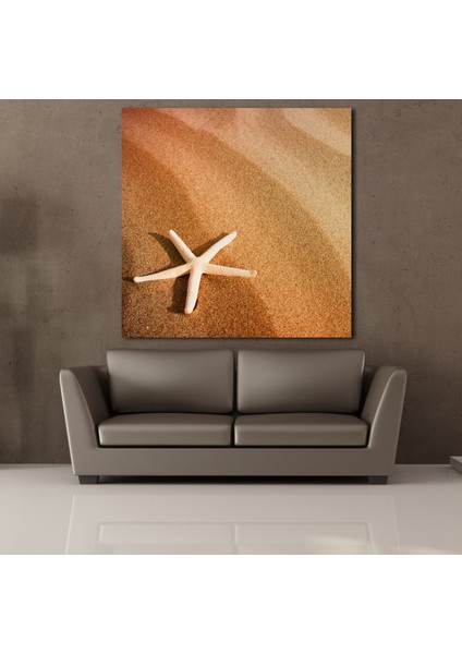 Deniz Yıldızı 70X70CM