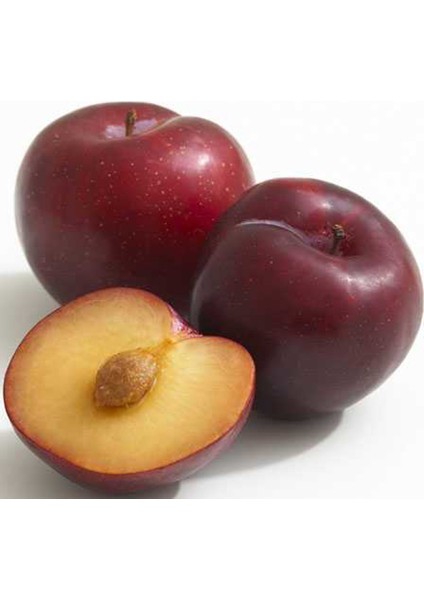 Manav Er k K rm z 1 Kg Fiyat Taksit Se enekleri Ile Sat n Al manav-er-k-k-rm-z-1-kg-fiyat-taksit-se-enekleri-ile-sat-n-al