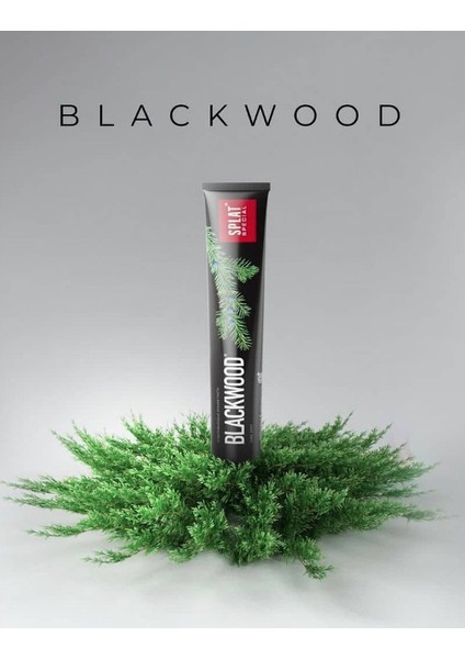 Special Blackwood Diş Macunu 75 ml X3 Adet