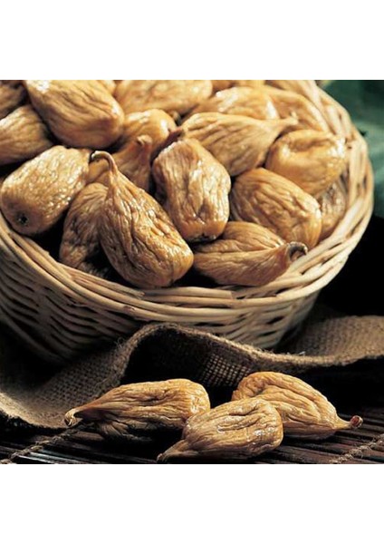 Kuru Incir Doğal 5 kg fiyatları