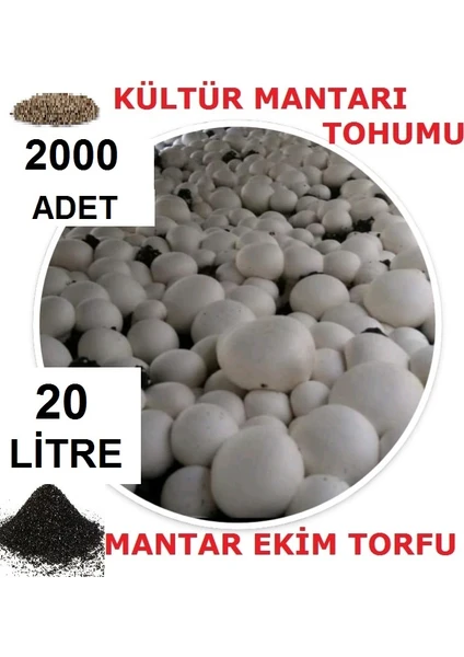 Tarımsal ve Hayvansal Ürünler 20 Litre Ekim Torfu ve 2000 Adet Kültür Mantarı Tohumu