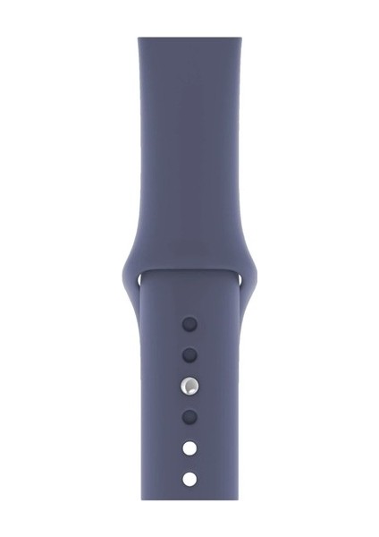 Apple Watch Edition 3 38MM Uyumlu Kordon Mat Jel Silikon Saat Kordonu 38/bb--Alaskan Blue