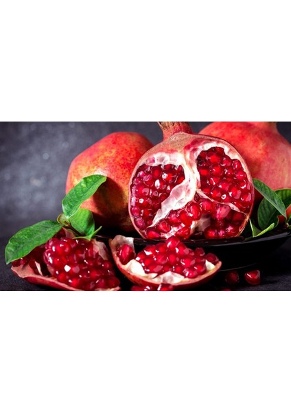 Frozen Nar Meyveli Püre 1kg fiyatları