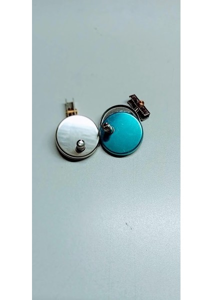 Ocean Klozet Kapak Vidası Kolay Sökülen Menteşe Takımı