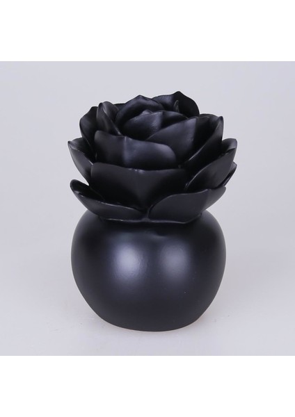 Lilacina Dekoratif Aksesuar Siyah