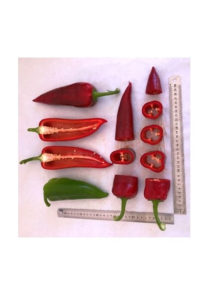 Florita F1 (Hibrit Kapya Biber TOHUMU)(1000 Adet) Tatlı fırsatları