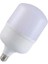 YL-180G 30W E27 Gunışığı Pvc LED Ampul 1
