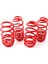 Vw Passat B6 Spor Helezon Yay 50 mm 2005 - 2010 Ctk Spor Springs 2