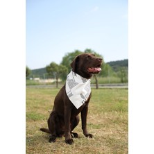 Waumau Cool Bandana