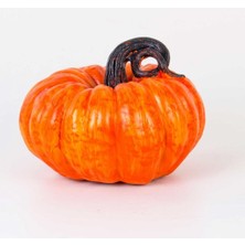 By Ari Büyük Boy Bal Kabağı