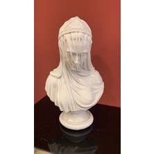 By Ari Duvaklı Kadın Parlak-Hk125-4