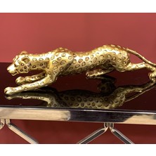 By Ari Gold Panter-Hf182-1