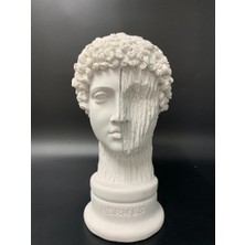 By Ari Hermes-Hk107-4