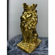 By Ari Aslan-Hf103-1-2