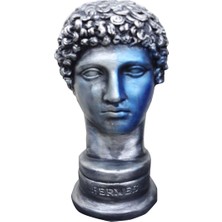 By Ari Hermes-Hk106-5