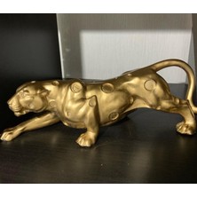 By Ari Jaguar-Hf133-2