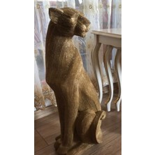 By Ari Chita-Hf117-3