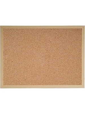 Ant Mantar Pano Ahşap Çerçeve 60X90
