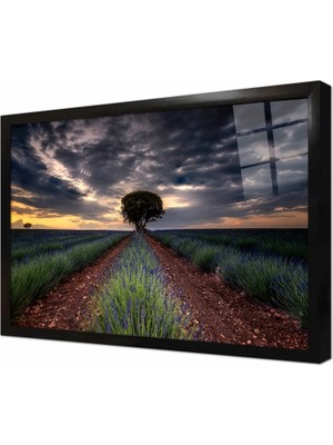 Tablosan Lavanta Tarlası Çerçeveli Cam Tablo