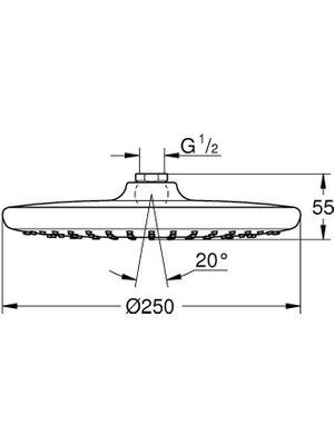 Grohe Yeni Tempesta 250 Tepe Duşu 26662000