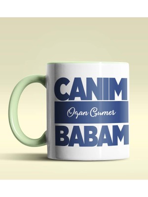 Hediye Zengini Kişiye Özel Canım Babam 6 Tasarımlı Yeşil Kupa Bardak