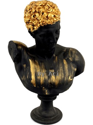 By Ari Hermes-Hk109-3