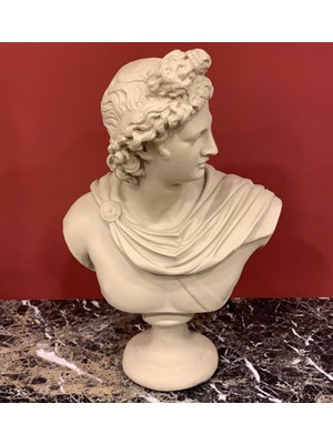 By Ari Apollon-Hk102-13