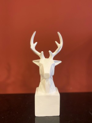 By Ari Geyik-Hf125-4