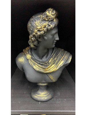 By Ari Apollon-Hk102-5