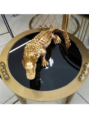 By Ari Timsah-Hf147-3