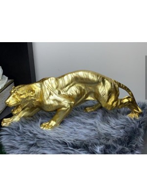 By Ari Kaplan-Hf135-1-2