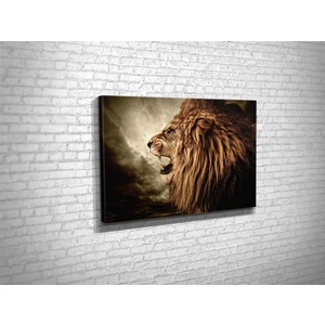 Tablo 360 Aslan Kanvas Tablo