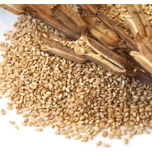 Zengi Baharat Şanlıurfa  Simitlik Kavrulmuş Susam 250 gr