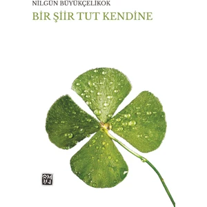 Bir Şiir Tut Kendine - Nilgün Büyükçelikok