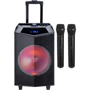 Dk-12 300 Watt Taşınabilir Mikrofonlu Hoparlöroyility Dk-12 300 Watt Taşınabilir Mikrofonlu Hoparlör