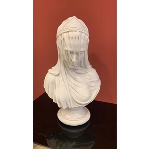 By Ari Duvaklı Kadın Parlak-Hk125-4