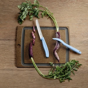 ​​​​Victorinox Swiss Classic Trend Colors Soyacak ve Domates Bıçak Seti