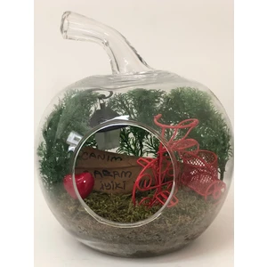 Canım Babam Teraryum