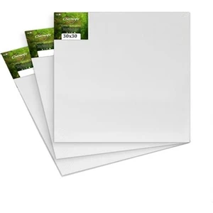 Tuval Ahşap Çerçeve Akrilik Boya Yağlı Boya 30 x 30 cm 3'lü
