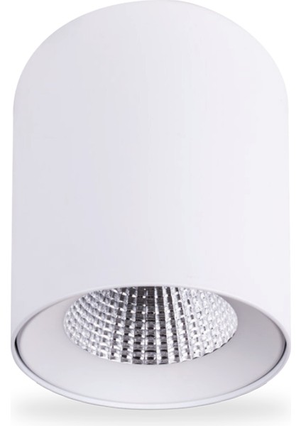 20W 6500K 1800LM Sıva Üstü LED Armatür(Beyaz)-Beyaz Işık