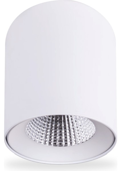 15W 6500K 1350LM Sıva Üstü LED Armatür-Beyaz Işık