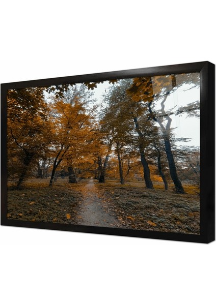 Sonbahar Ağaçları Çerçeveli Cam Tablo