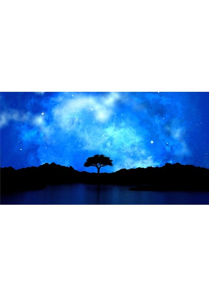 Tek Ağaçlı Gece Manzara Çerçeveli Cam Tablo fiyatları