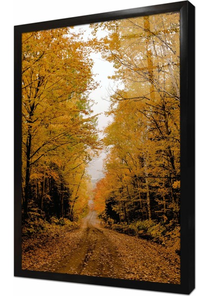 Sonbaharda Orman Yolu Çerçeveli Cam Tablo