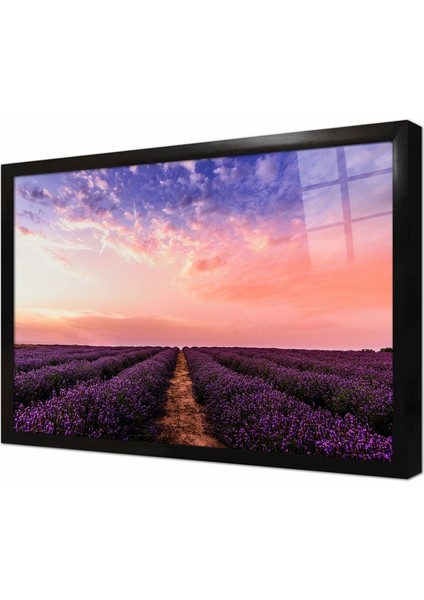 Lavanta Tarlası Çerçeveli Cam Tablo