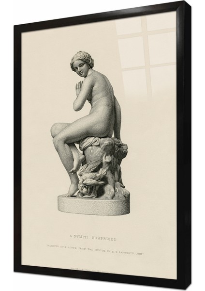 Su Perisi Çerçeveli Cam Tablo